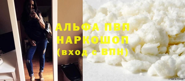 СК Белокуриха