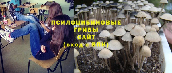 СК Белокуриха