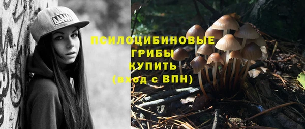 таблы Богданович